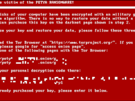Petya ransomware versleutelt volledige harde schijf