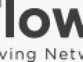 Flowmon helpt grootste Europese DDoS-bestrijder aanvallen te verwerken  
